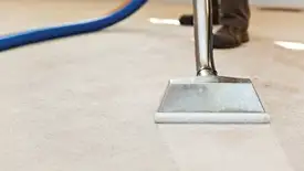 Carpet cleaning wand head gliding over a light carpet during hot-water extraction, South Bend, IN.